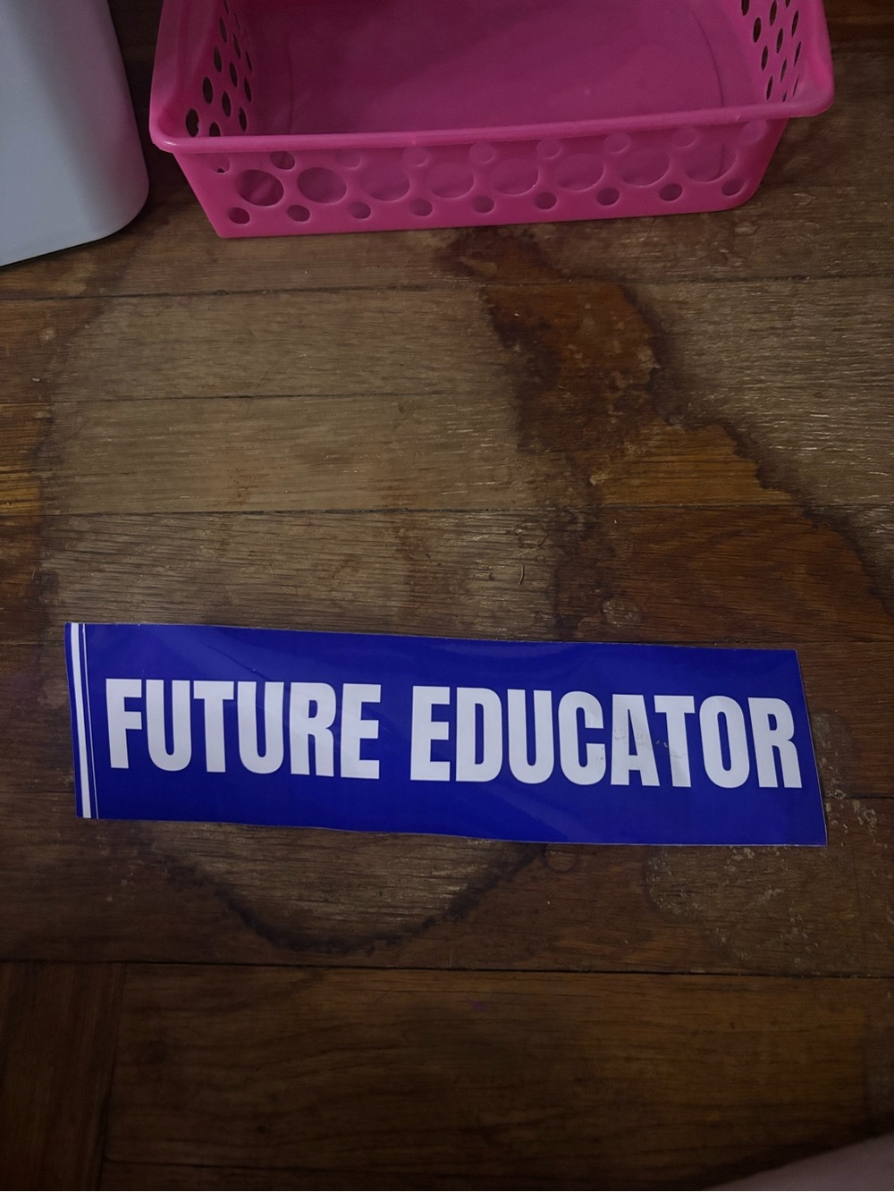 "Future Educator" Blue Vinyl Sticker